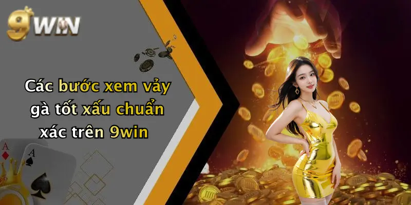 Các bước xem vảy gà tốt xấu chuẩn xác trên 9win