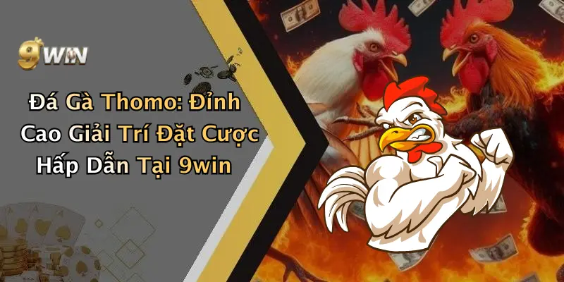 Đá Gà Thomo