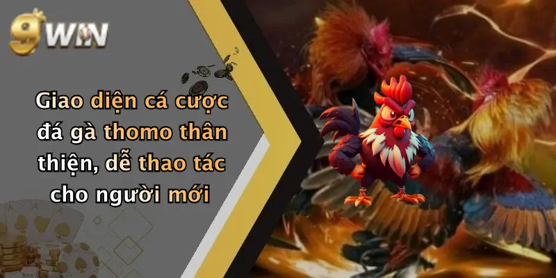 Giao diện cá cược đá gà thomo thân thiện, dễ thao tác cho người mới