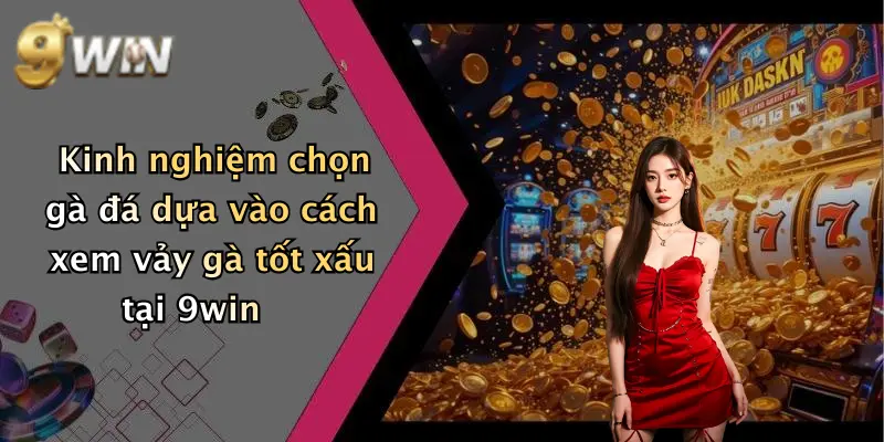 Kinh nghiệm chọn gà đá dựa vào cách xem vảy gà tốt xấu tại 9win
