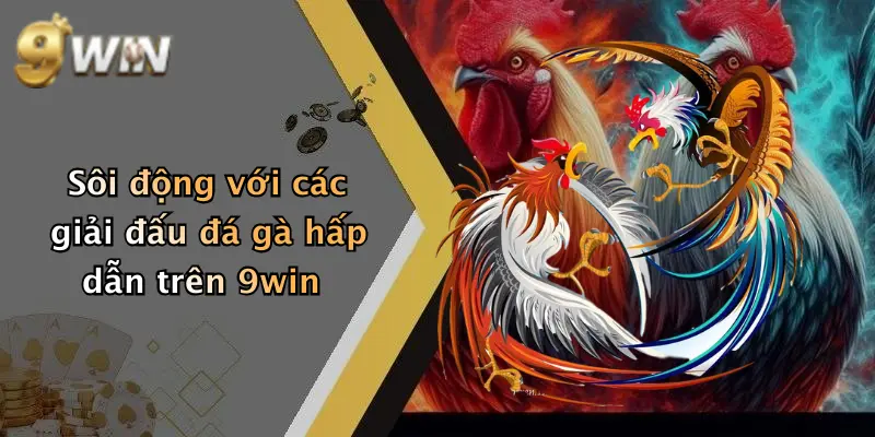 Sôi động với các giải đấu đá gà hấp dẫn trên 9win